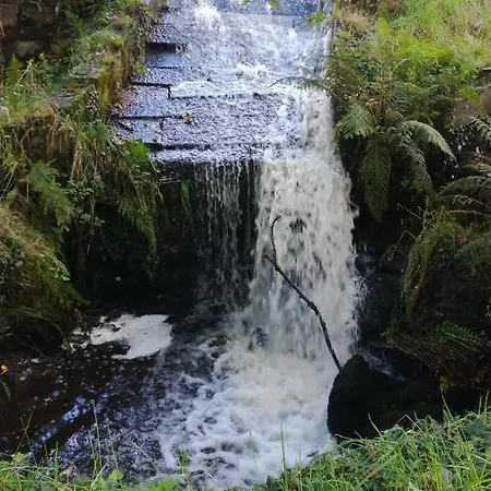 La Boulangerie Au Moulin Neuf Saint-Aubin-Des-Bois (Calvados)