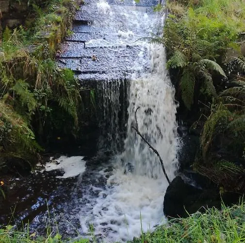 La Boulangerie Au Moulin Neuf Saint-Aubin-Des-Bois (Calvados)